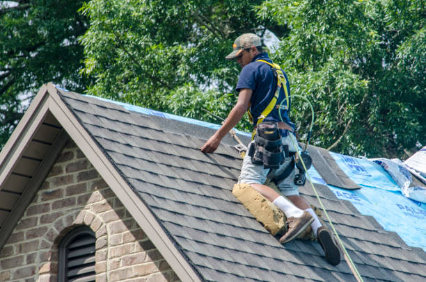Best Roof Gutter Cleaning  in North Richmond, CA